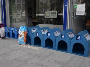 Yunusemre Belediyesi sokak hayvanları için STK’lara destek oluyor