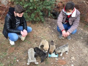 “İnsaf et, israf etme” sloganıyla bayat ekmek kutusu noktaları oluşturuldu