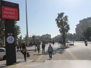 Aydın’da güneşi gören kendini dışarıya attı