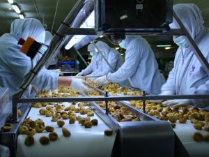 Aydın’dan dünyaya 152 bin ton bitkisel ve hayvansal ürün ihraç edildi