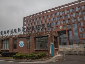 Wuhan’da incelemelerini sürdüren DSÖ’nün İngiliz üyesinden endişelendiren açıklama