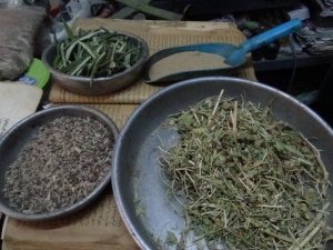 Kekik, kaynatıldığında evi dezenfekte ediyor