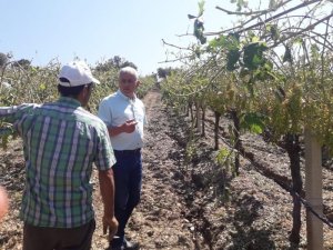 Ziraat Odası Başkanından sigorta uyarısı