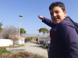 Aydın’a bu yılın ilk leyleği geldi