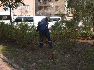 Yunusemre’de parkların bakımı yapılıyor