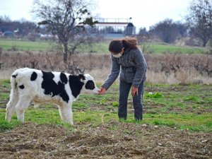 Genç Çiftçi Projesi üreticilere nefes olmaya devam ediyor