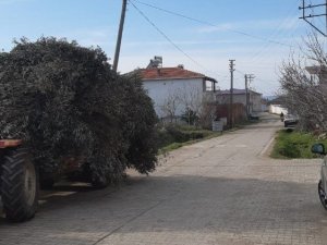 Burhaniye’de bir mahalleye kısmi karantina