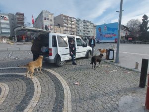 Polisler kısıtlamada sokak hayvanlarını besledi