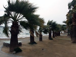 Muğla için fırtına uyarısı