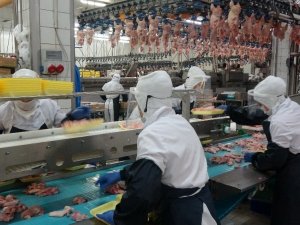 Gedik Piliç, 2021’de de ‘Mutfağın Gediklisi’ olacak