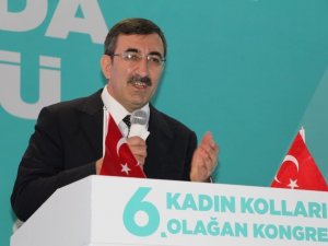 TBMM Plan ve Bütçe Komisyon Başkanı Yılmaz: “Türkiye yükselen bir güç”