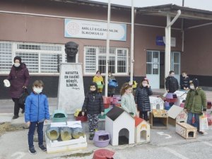 Öğrenciler sokak kedileri için 60 yuva yaptı