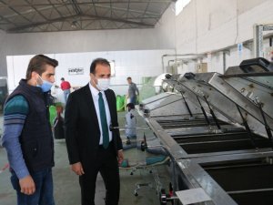 Dolar düştü, zamlar düşmedi