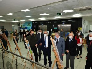 Tütünde 4 binden fazla zehirli madde var