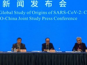 Wuhan’daki DSÖ ekibinden korona virüsün kökenine ilişkin açıklama