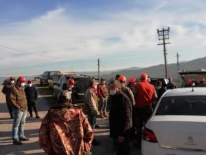 Milas’ta sürek avı düzenlendi
