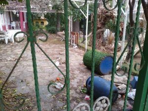 Saklı Bahçe de Korona virüse yenik düştü