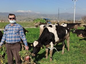 Üretici maliyetten, tüketici komisyoncudan şikayetçi