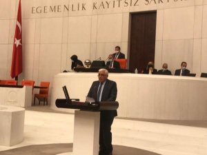 Milletvekili Dülger TBMM konuştu