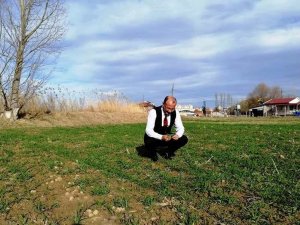 Kütahya’da hububat ekili alanlarda gelişim gözlenmesi yapıldı