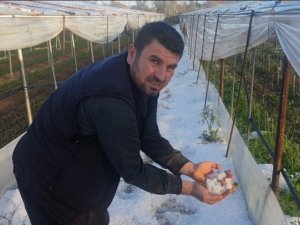 Çeşme’de hortum felaketinin ardından Urla’yı dolu vurdu: Seralar delik deşik
