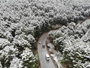 Kar yağışı sonrası Aydos Ormanı’nda kartpostallık görüntüler oluştu