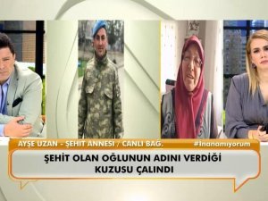 Şehit oğlunun ismini verdiği kuzu çalındı