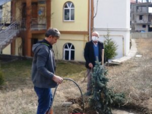 Hisarcık Yunus Emre Cami bahçesi ağaçlandırıldı