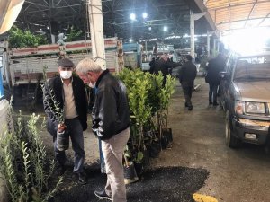 Fidanlar üreticilere teslim edildi