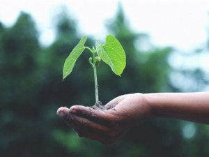 Siemens Energy ve BASF düşük karbon salınımlı üretim için güç birliği yapıyor