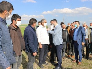 HDP’den AK Parti’ye büyük katılım