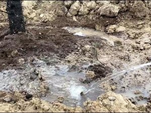 Pursaklar’da ağaçlandırma çalışmaları tüm hızıyla devam ediyor