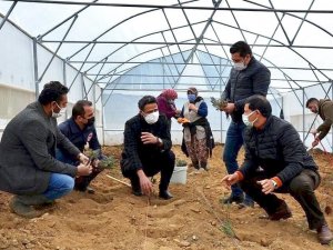 Demirci sera desteğiyle lavanta kokacak