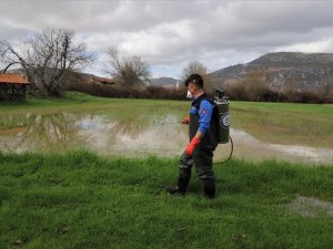 Karabağlar’da 350 hektar sulak alanda vektör mücadelesi