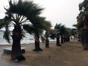 Muğla için ‘Fırtına uyarısı’
