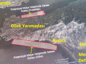 Milli Park’ta midye çiftliği tartışması