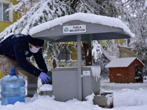 Tuzla’da sokak hayvanları unutulmadı