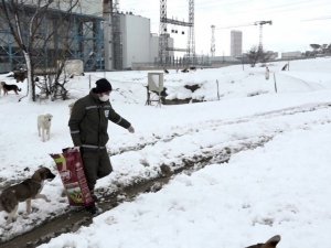 Esenyurt’ta can dostları yalnız bırakılmıyor