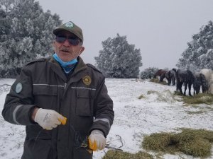 Eksi 8 derecede Spil Dağı’nda yaban hayatı unutulmadı