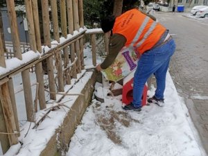 Gediz Belediyesi soğuk günlerde sokak hayvanlarını unutmadı