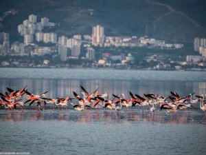 Türkiye’nin ilk Yeşil Şehir Eylem Planı İzmir için hazırlandı