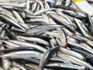 Kar ve fırtına balık tezgahlarını vurdu