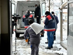 Ankara Büyükşehir Belediyesi’nden can dostlar için soğuk günlerde gönüllülerle iş birliği