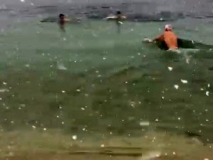 Yeşilköy plajında lapa lapa yağan karın altında denize girdiler
