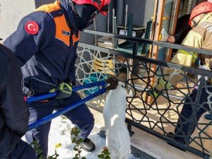 Balkon korkuluklarına sıkışan köpeği itfaiye kurtardı