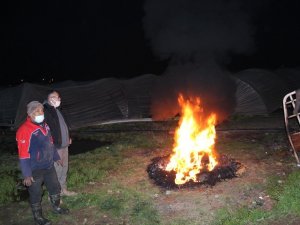 Aydın’da ilginç yöntemle zirai don nöbeti