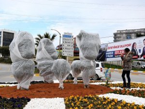 Ağaçları dona karşı elyafla korudular