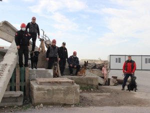 İzmir’in cesur köpekleri