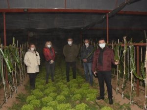 Kaymakam zirai don nöbeti tutan çiftçileri yalnız bırakmadı