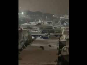 - Balıkçı barınaklarını mesken tutan su samurlarının kar keyfi